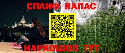 Альфа ПВП Кимры